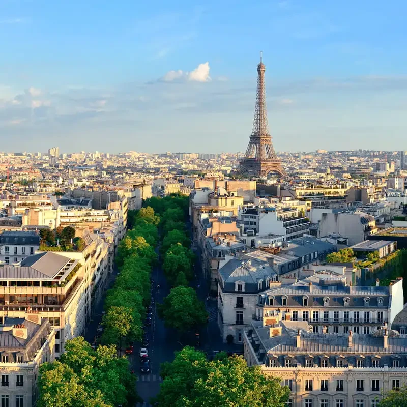 panorama de Paris avec la tour Eiffel au centre, toits et avenue arborée